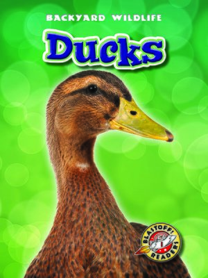 cover image of Ducks